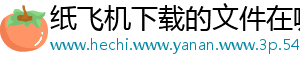 纸飞机下载的文件在哪